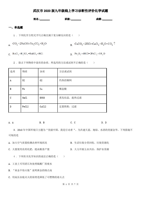 武汉市2020版九年级线上学习诊断性评价化学试题