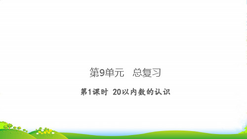 2022秋一年级数学上册 第9单元 总复习第1课时 20以内数的认识习题课件 新人教版