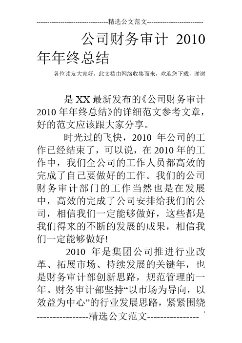 公司财务审计2010年年终总结