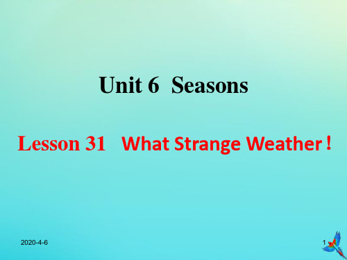 七年级英语Unit6SeasonsLesson31WhatStrangeWeather参考课件2020春编沪教版