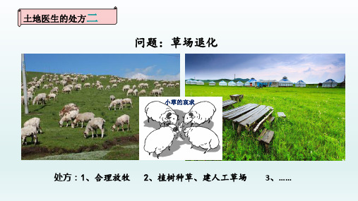 八年级地理上册  第三章中国的自然资源第二节土地资源第2课时课件16-20