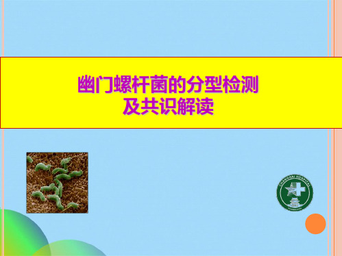 幽门螺旋杆菌分型检测ppt(共30张PPT)