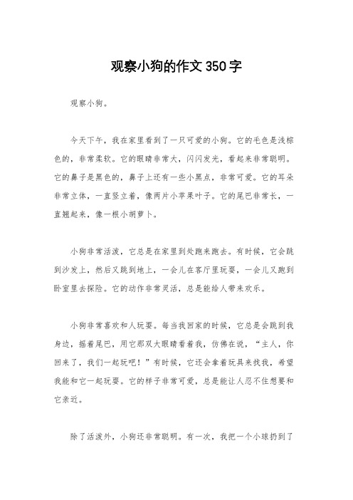 观察小狗的作文350字