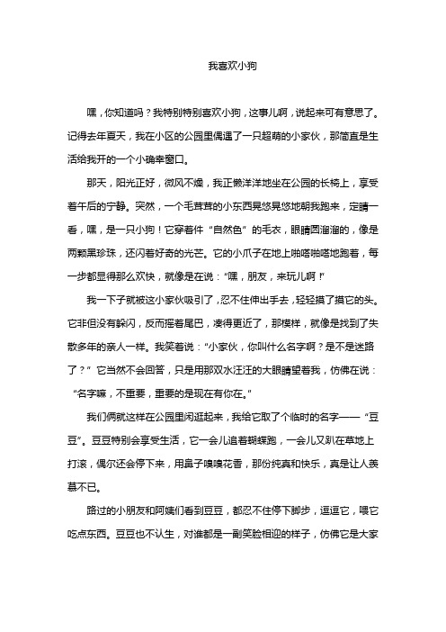 我喜欢小狗作文800字