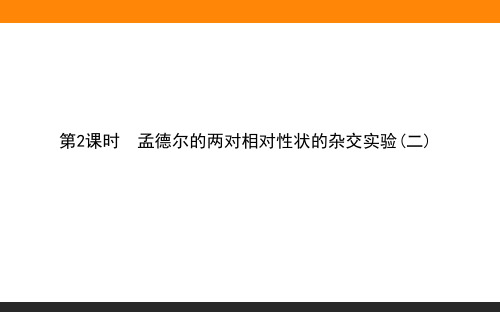 1.2.2孟德尔的两对相对性状的杂交实验(二) 