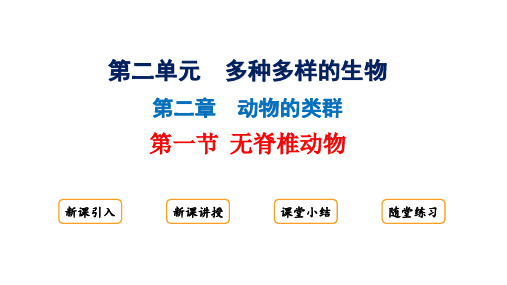 2.2.1无脊椎动物课件 2024-2025学年人教版生物七年级上册