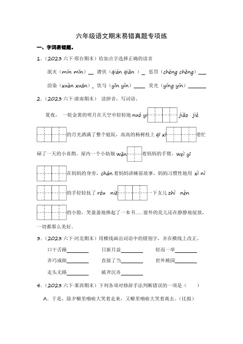 统编版2023-2024学年语文六年级下册期末易错真题专项练(有解析)