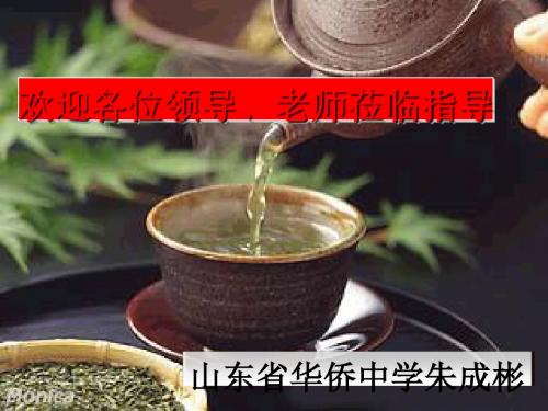 政府的权力：依法行政PPT课件1