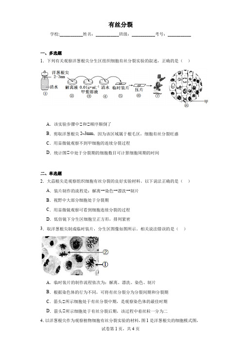 有丝分裂练习带答案详解