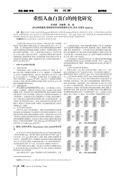 重组人血白蛋白的纯化研究