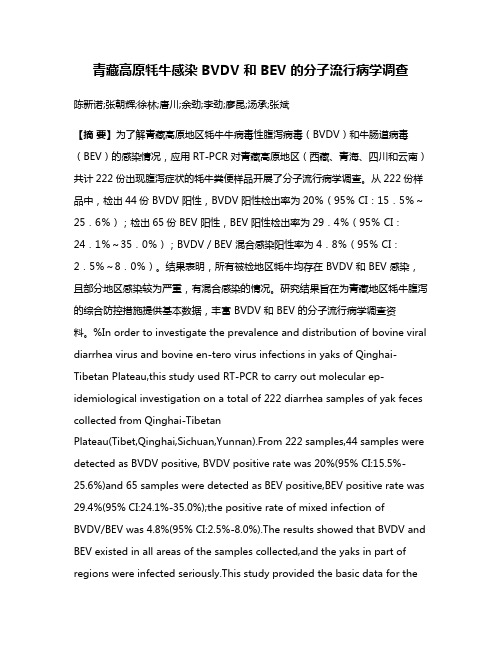 青藏高原牦牛感染 BVDV 和 BEV 的分子流行病学调查