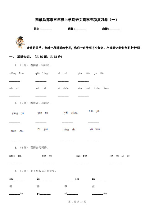 西藏昌都市五年级上学期语文期末专项复习卷(一)