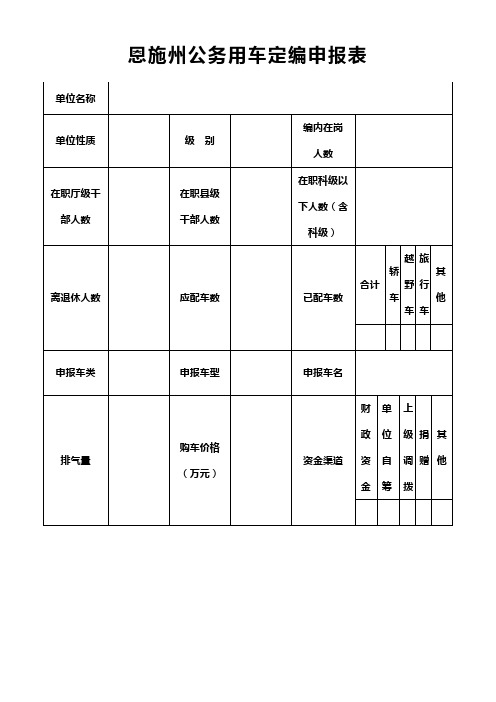 小汽车定编申报表