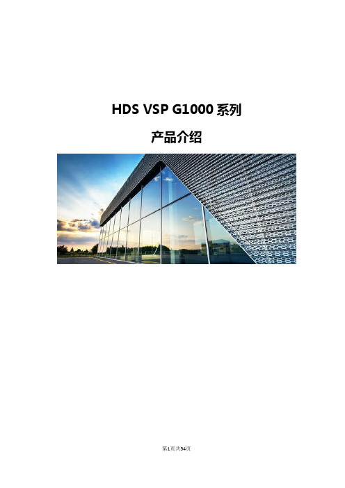 HDS VSP G1000系列产品介绍