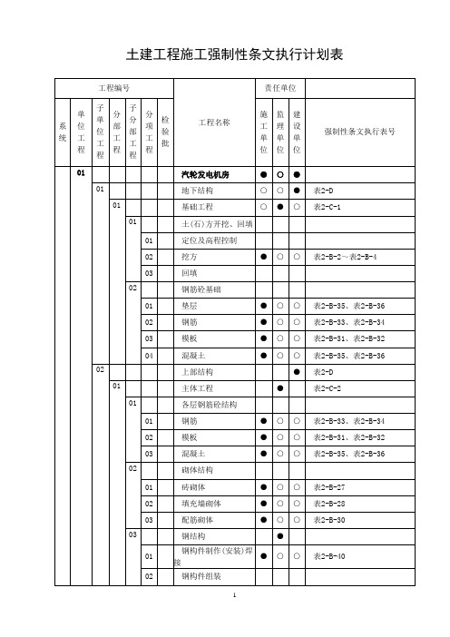 土建强条执行计划表(成表)精简版