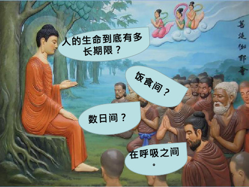 初中生物《人体与外界的气体交换》教学课件设计