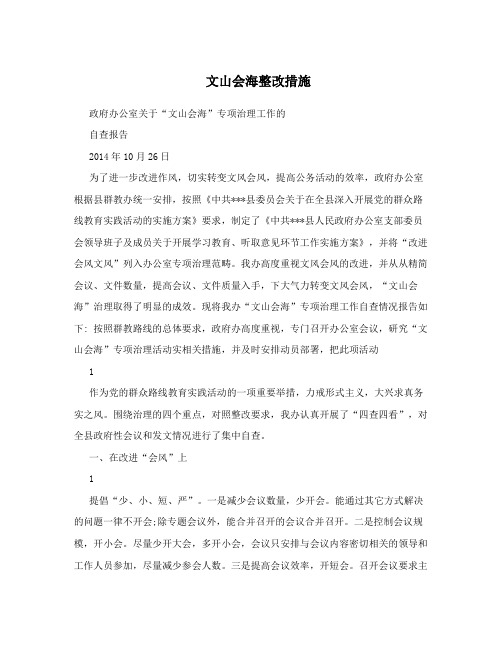 文山会海整改措施