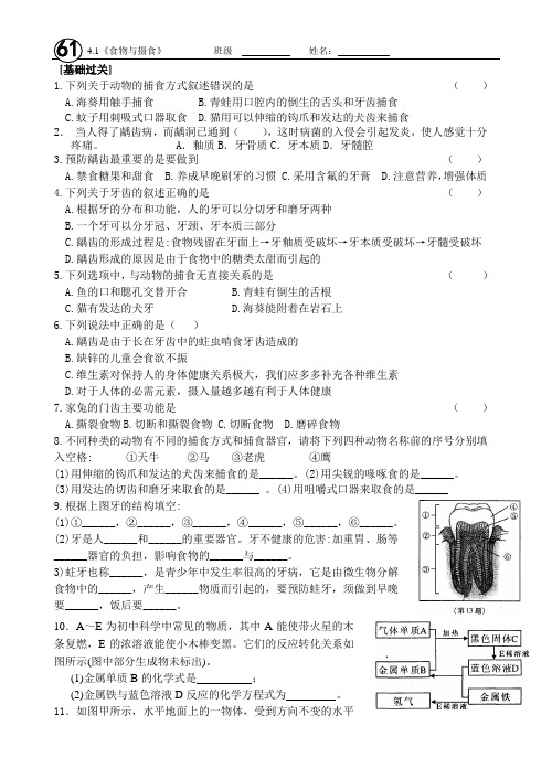 九上科学4.1《食物与摄食》(2)