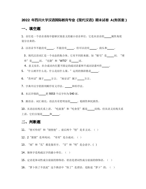 2022年四川大学汉语国际教育专业《现代汉语》期末试卷A(有答案)