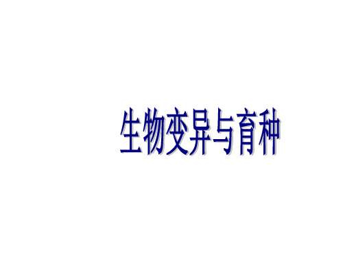 人教版教学课件高一生物变异应用育种 PPT资料共21页