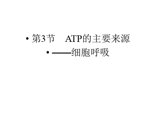 高一生物人教版必修一课件：ATP的主要来源