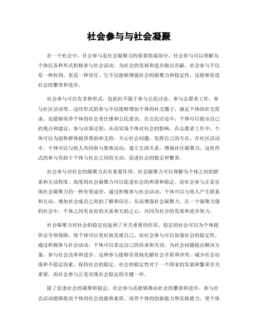 社会参与与社会凝聚