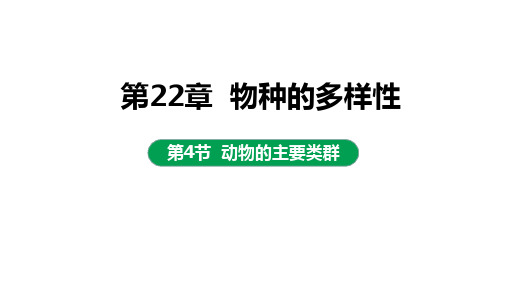 第四节动物的主要类群第三课时课件2022-2023学年北师大版生物八年级下册