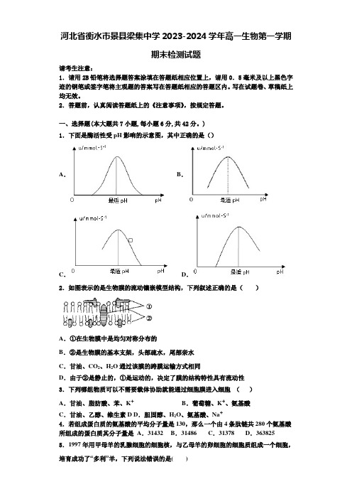 河北省衡水市景县梁集中学2023-2024学年高一生物第一学期期末检测试题含解析