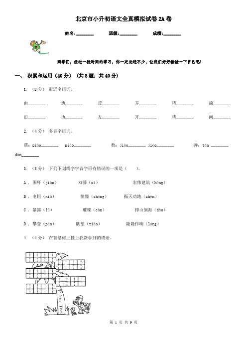 北京市小升初语文全真模拟试卷2A卷