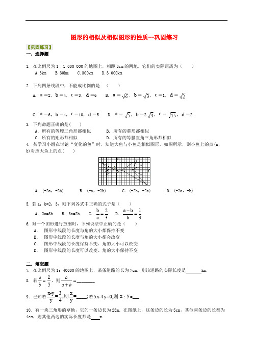 九年级数学上册 第四章 图形的相似《图形的相似及相似图形的性质》巩固练习(含解析)(新版)北师大版