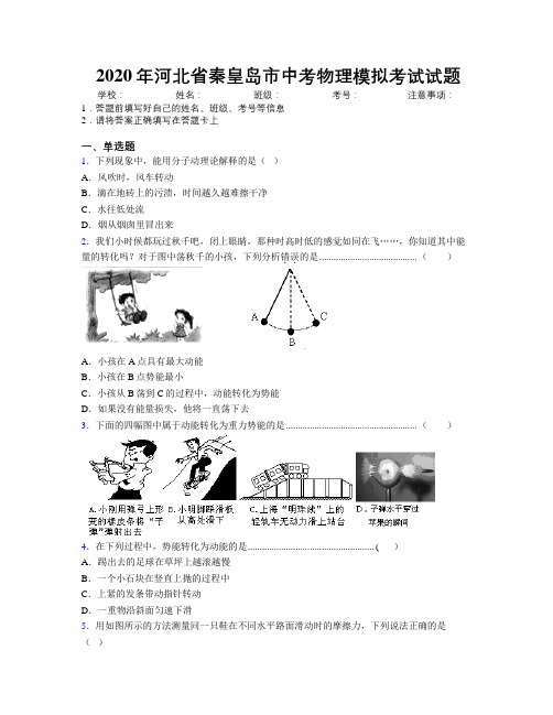 2020年河北省秦皇岛市中考物理模拟考试试题附解析