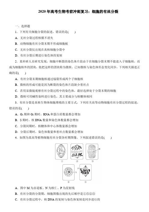 2020年高考生物考前冲刺复习：细胞的有丝分裂