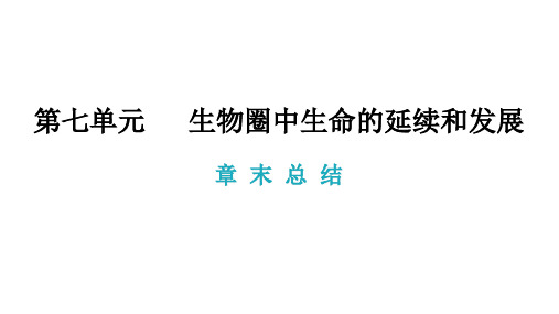 人教版八年级生物下册.生命起源和生物进化  章末总结 课件