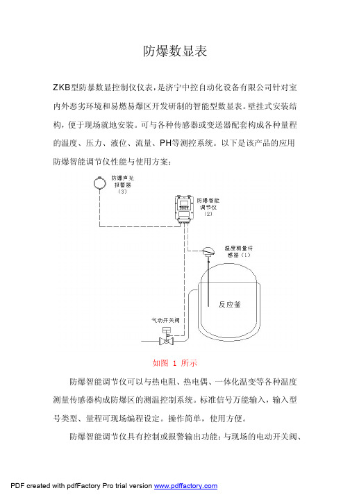 防爆数显表