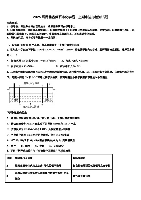 2025届湖北省黄石市化学高二上期中达标检测试题含解析