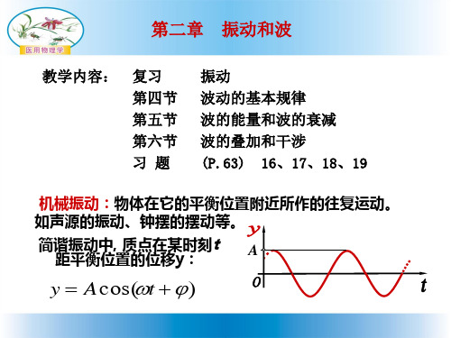 波动的基本规律.