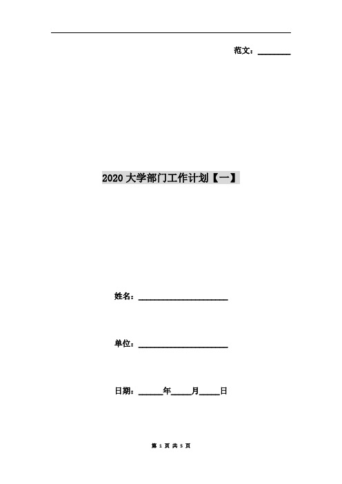 2020大学部门工作计划【一】