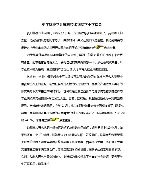 小学毕业学计算机技术到底学不学得会