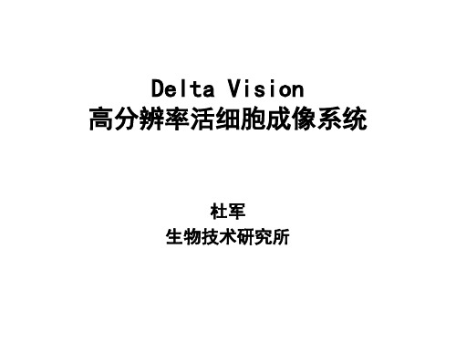 delta vision-仪器分析