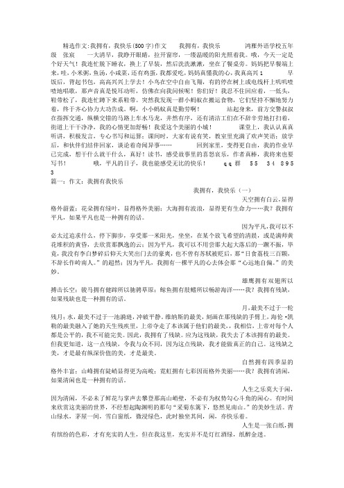 我拥有,我快乐(500字)作文