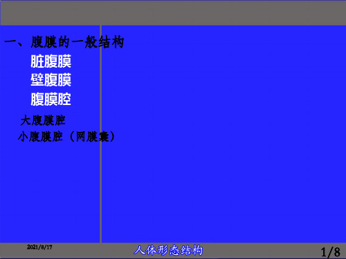 中国医科大学局部解剖学课件_OK