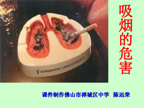 【初中生物】吸烟的危害PPT课件1
