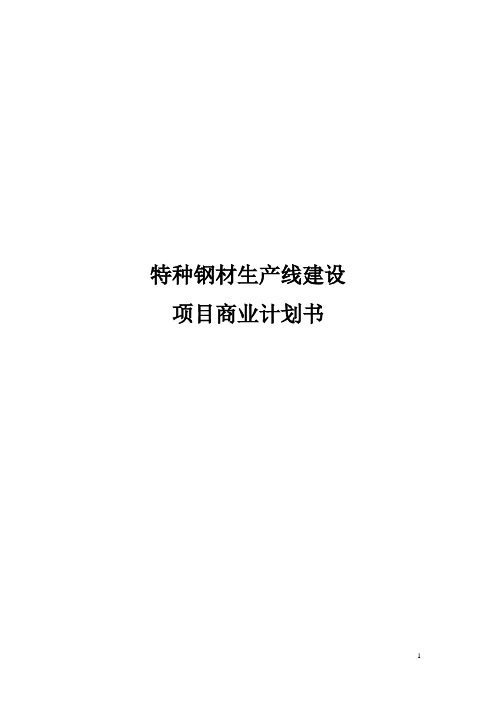 学位论文-—特种钢材生产线建设项目商业计划书