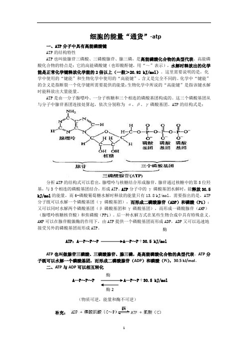 细胞的能量“通货”-atp 说课稿 教案 教学设计