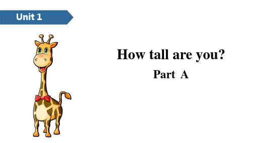 最新人教版六年级英语下册《How tall are you》ppt教学课件