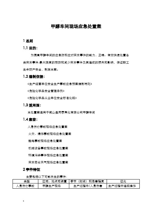 甲醇车间现场应急处置方案
