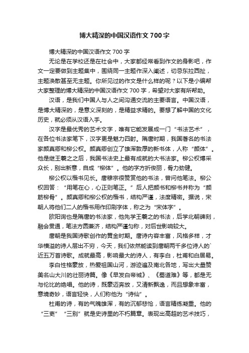 博大精深的中国汉语作文700字