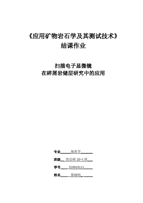 扫描电子显微镜在碎屑岩储层研究中的应用