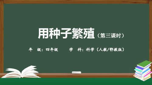 (人教鄂教版)四年级科学上册 用种子繁殖(第三课时)-2课件