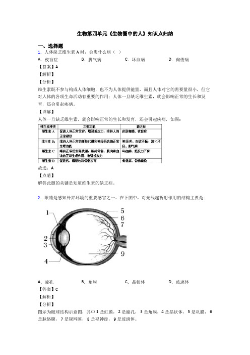 生物第四单元《生物圈中的人》知识点归纳